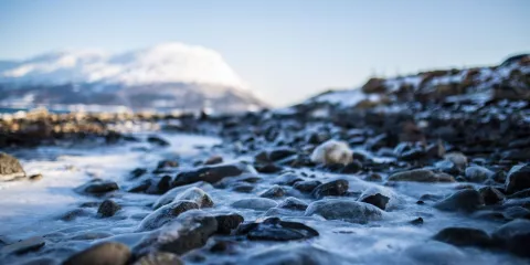 Udsigt over bjergene